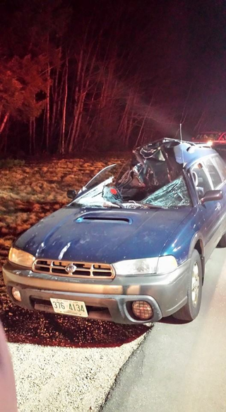 Illustration for article titled Moose Collision Turns Subaru Into Convertible